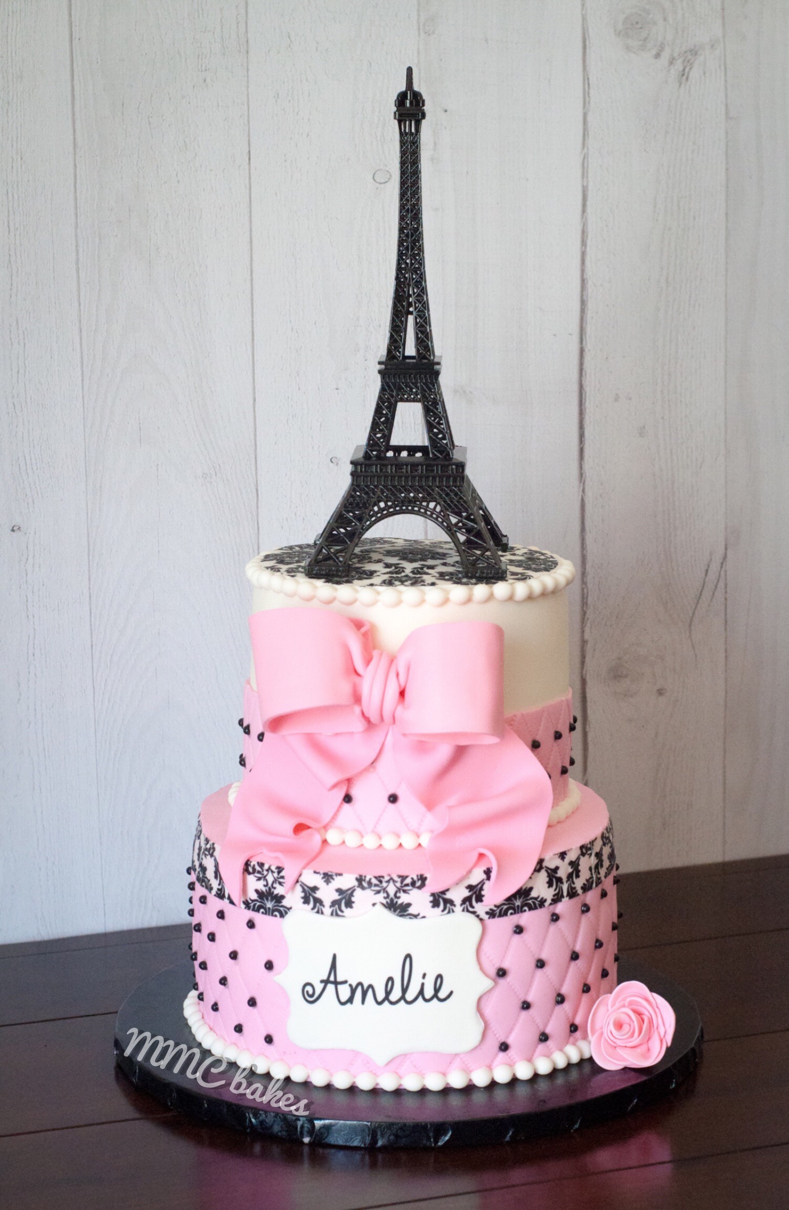 Paris 1st Birthday Cake & Cupcakes MMC Bakes